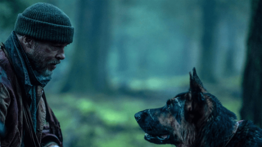 Fatos e Curiosidades de Coração Selvagem (2026)